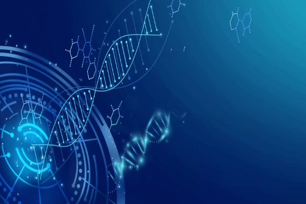 刚刚怀孕怎么做亲子鉴定