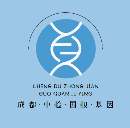 屏幕截图 2024-11-27 115510.png
