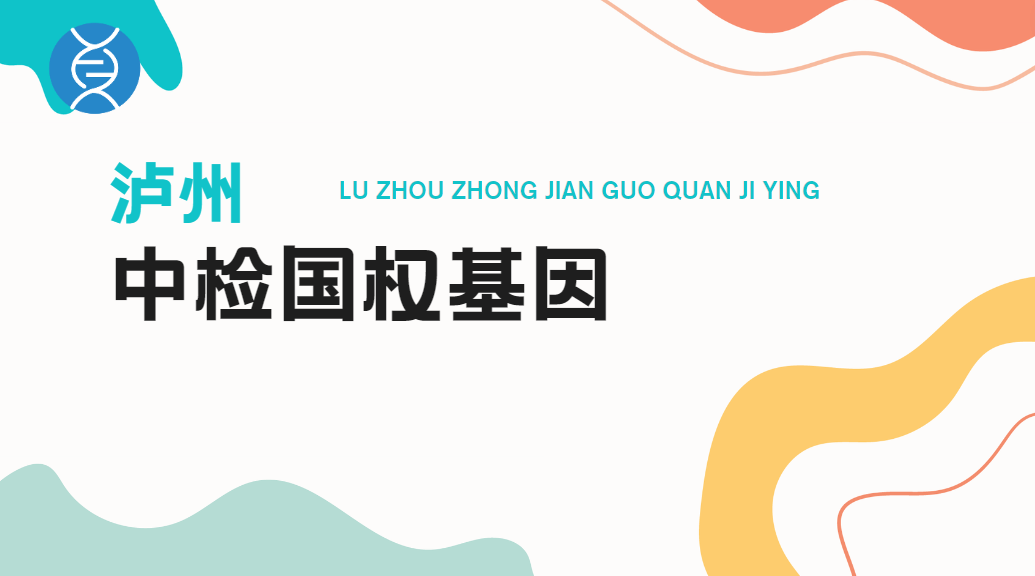 屏幕截图 2024-12-19 164038.png