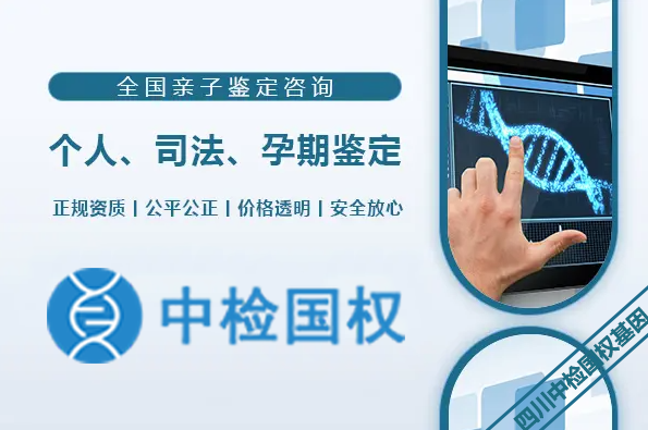 11无.png